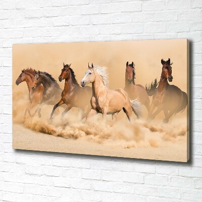 Foto quadro su tela Cavalli del deserto