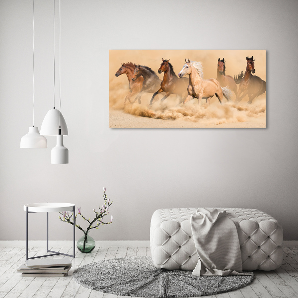 Foto quadro su tela Cavalli del deserto
