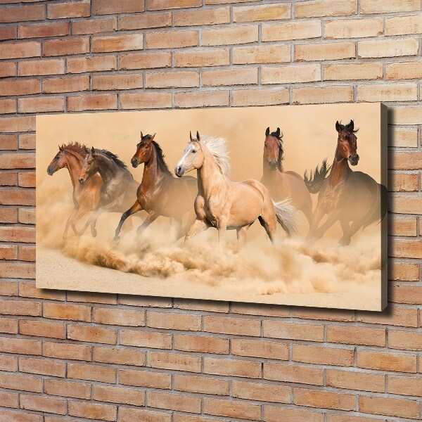 Foto quadro su tela Cavalli del deserto