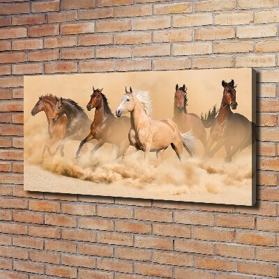 Foto quadro su tela Cavalli del deserto