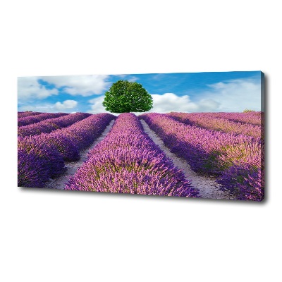 Quadro stampa su tela Campo di lavanda