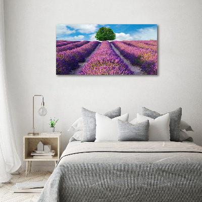 Quadro stampa su tela Campo di lavanda