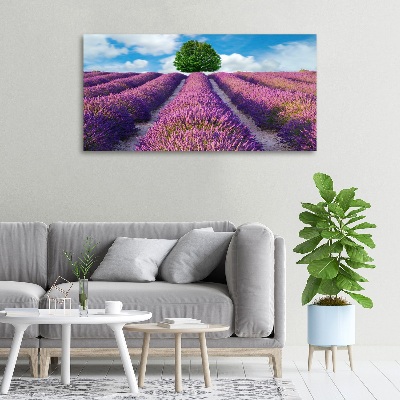 Quadro stampa su tela Campo di lavanda