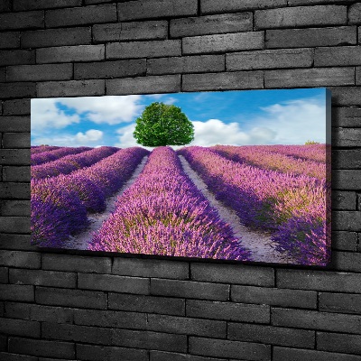 Quadro stampa su tela Campo di lavanda