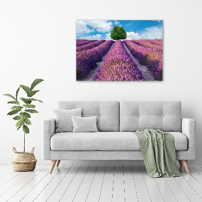 Quadro stampa su tela Campo di lavanda