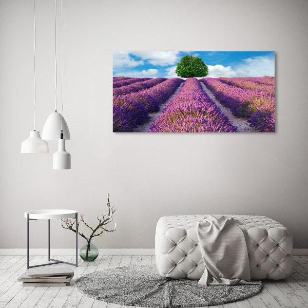 Quadro stampa su tela Campo di lavanda