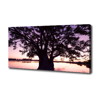 Foto quadro su tela Albero e lago