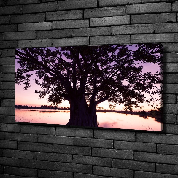 Foto quadro su tela Albero e lago