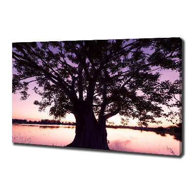 Foto quadro su tela Albero e lago