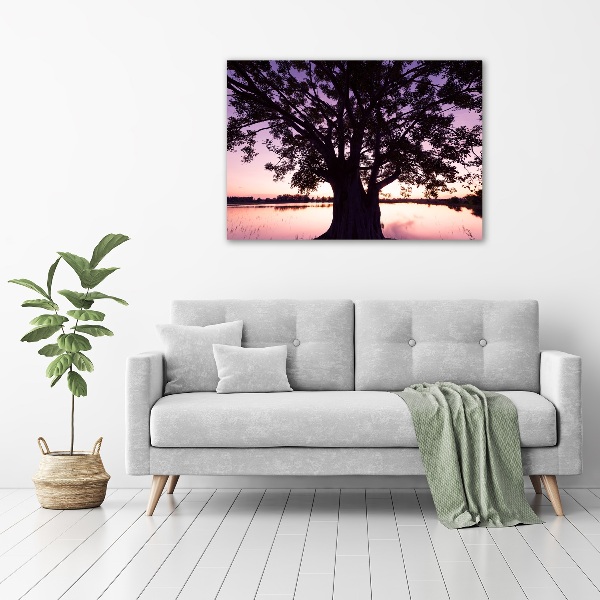 Foto quadro su tela Albero e lago