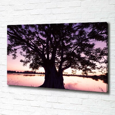 Foto quadro su tela Albero e lago