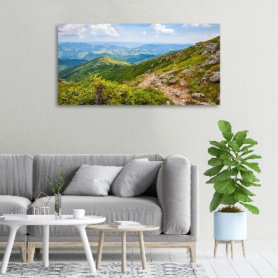 Quadro su tela Colline verdi