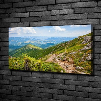 Quadro su tela Colline verdi