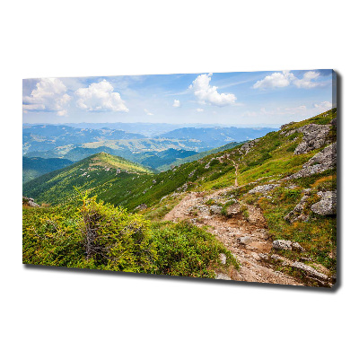 Quadro su tela Colline verdi
