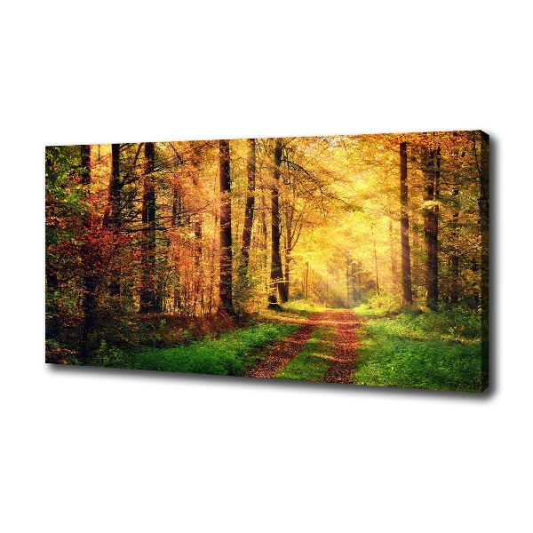 Foto quadro su tela Foresta in autunno