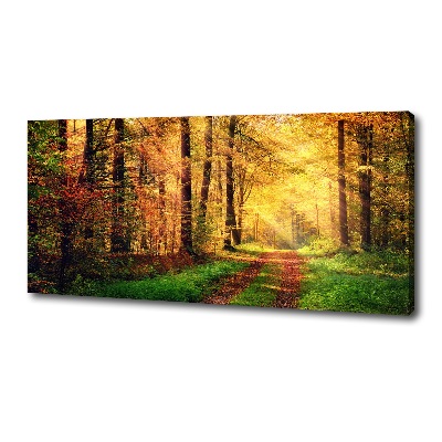 Foto quadro su tela Foresta in autunno