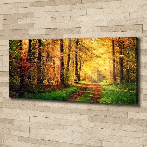 Foto quadro su tela Foresta in autunno