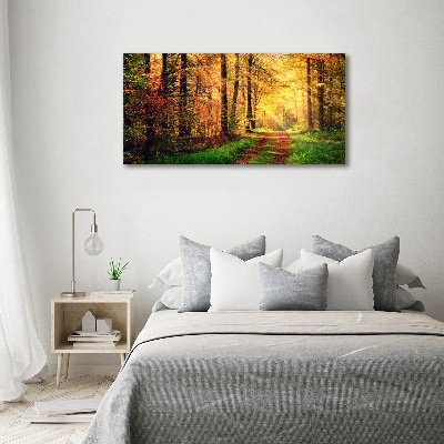 Foto quadro su tela Foresta in autunno