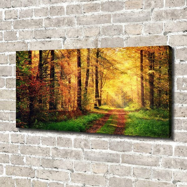 Foto quadro su tela Foresta in autunno