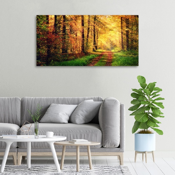 Foto quadro su tela Foresta in autunno