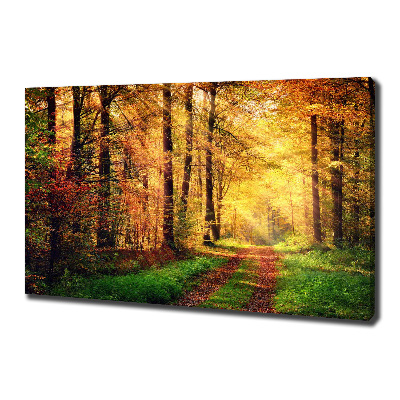 Foto quadro su tela Foresta in autunno