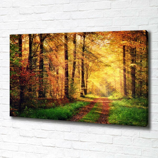 Foto quadro su tela Foresta in autunno