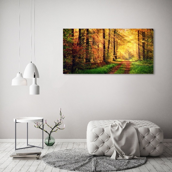 Foto quadro su tela Foresta in autunno