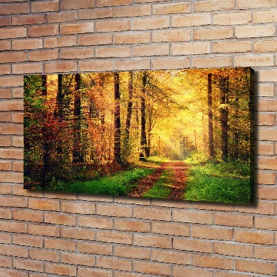 Foto quadro su tela Foresta in autunno