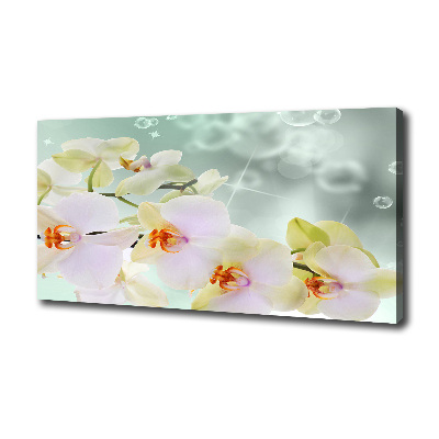 Foto quadro su tela Orchidea bianca