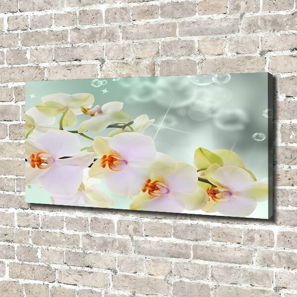 Foto quadro su tela Orchidea bianca