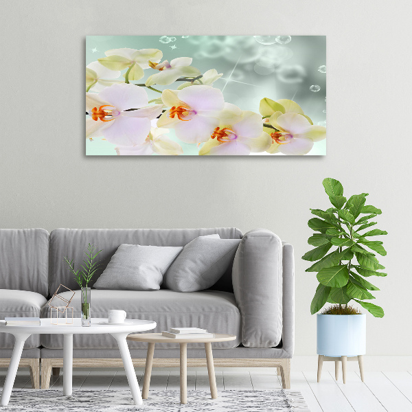 Foto quadro su tela Orchidea bianca