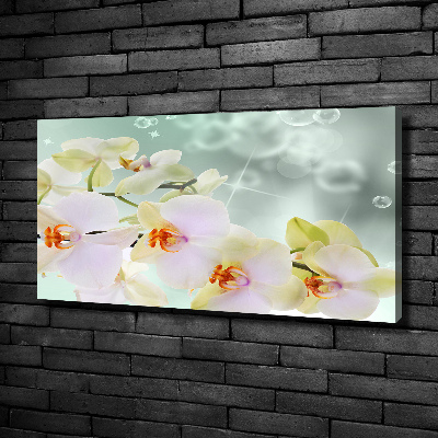 Foto quadro su tela Orchidea bianca