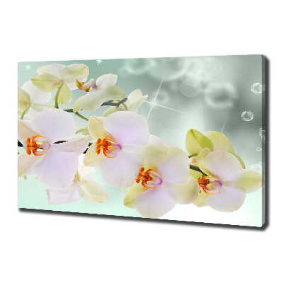 Foto quadro su tela Orchidea bianca