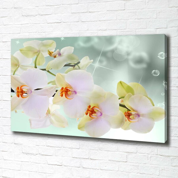 Foto quadro su tela Orchidea bianca