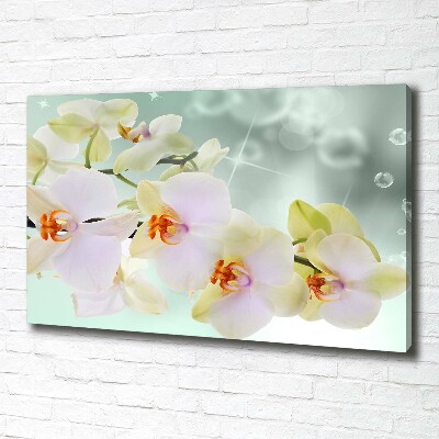 Foto quadro su tela Orchidea bianca