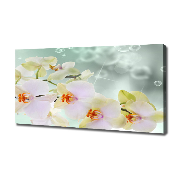 Foto quadro su tela Orchidea bianca