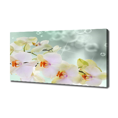 Foto quadro su tela Orchidea bianca