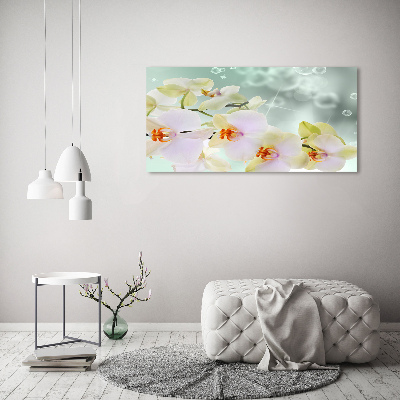 Foto quadro su tela Orchidea bianca