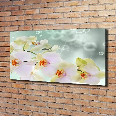 Foto quadro su tela Orchidea bianca