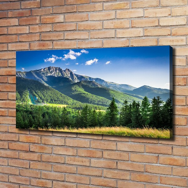 Foto quadro su tela Salto con gli sci sui Monti Tatra