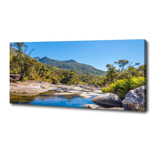 Quadro su tela Fiume nella foresta