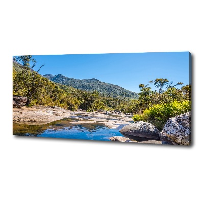 Quadro su tela Fiume nella foresta