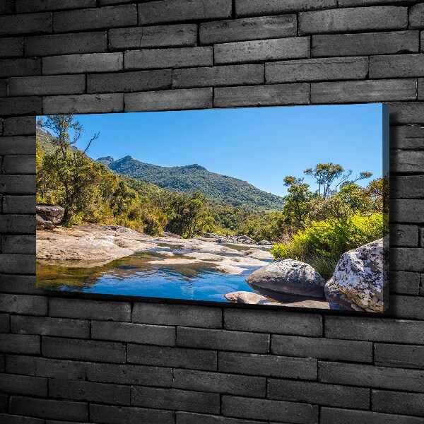 Quadro su tela Fiume nella foresta