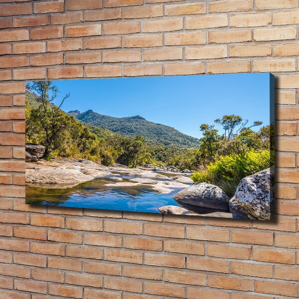 Quadro su tela Fiume nella foresta