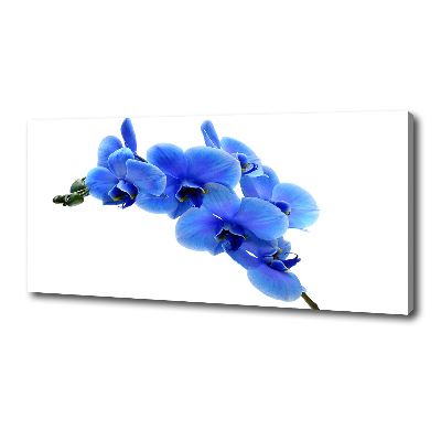 Quadro stampa su tela Orchidea blu
