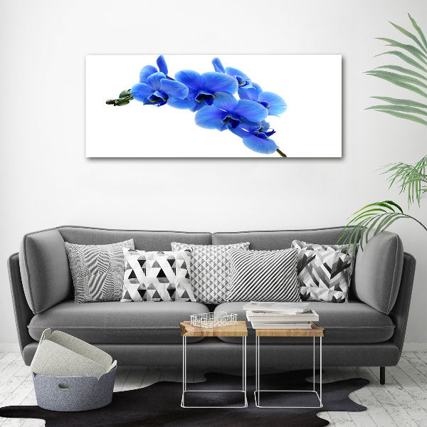 Quadro stampa su tela Orchidea blu