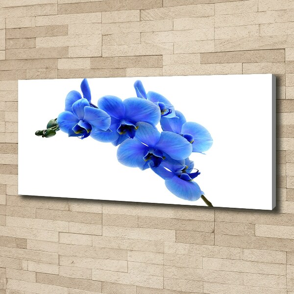 Quadro stampa su tela Orchidea blu