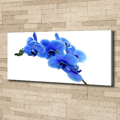 Quadro stampa su tela Orchidea blu