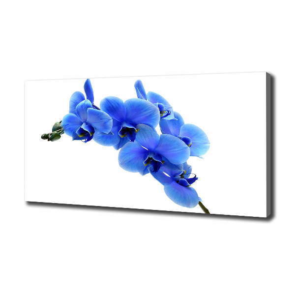 Quadro stampa su tela Orchidea blu