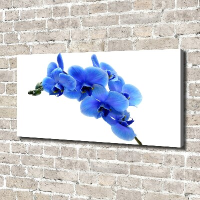 Quadro stampa su tela Orchidea blu